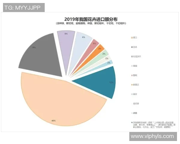 独家分析：北京网球队的配合对比
