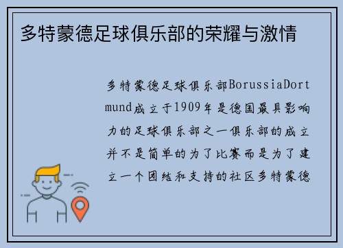 多特蒙德足球俱乐部的荣耀与激情