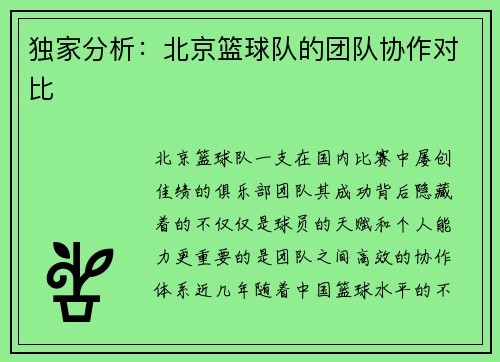独家分析：北京篮球队的团队协作对比