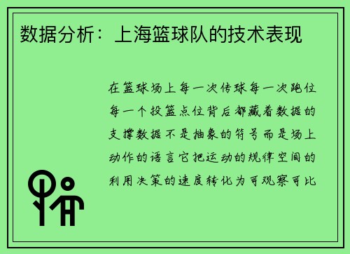 数据分析：上海篮球队的技术表现